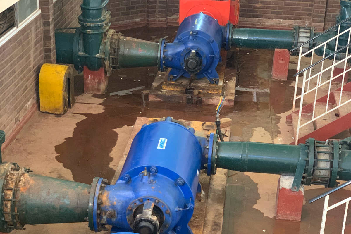 Pumps & Motors